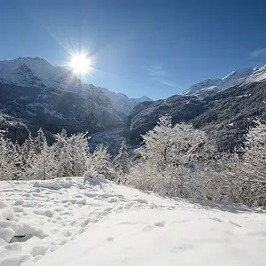 Best ski resorts for families