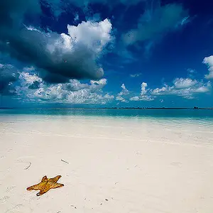 Una spiaggia di sabbia bianchissima con una stella marina nel mare dei Caraibi