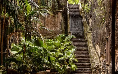 Queen’s Staircase: scalinata nella foresta alle Bahamas