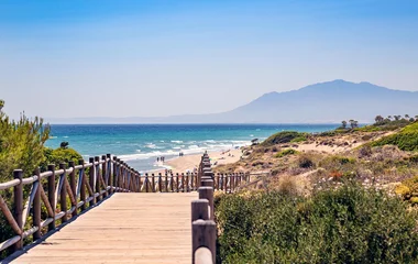 Go to the beach