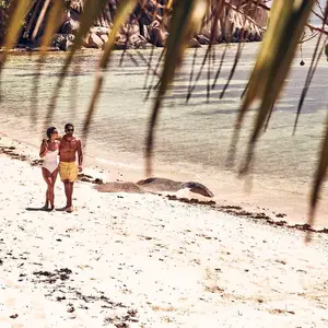 All Inclusive Holidays in the Seychelles