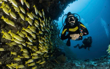 Scuba Diving at Club Med