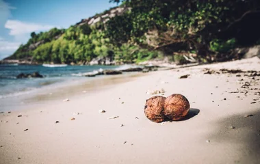 Exotic islands offer low price pieces of paradise