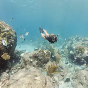 diving in Martinique