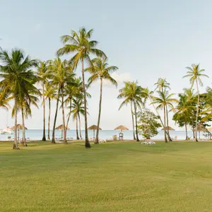 martinique beaches and lounges