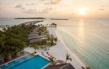 Enjoy the sun set with dolphins