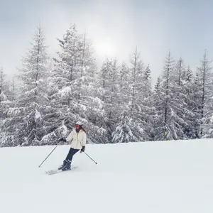 holidays in the Italian alps