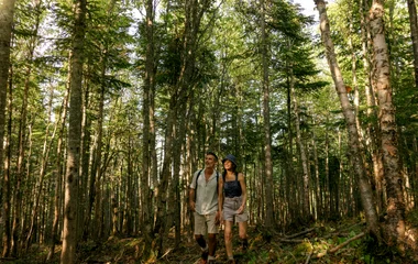 couple hiking in quebec forests