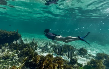 Snorkelling in the Seychelles
