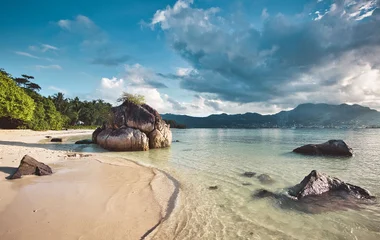 Relaxing on a hammock on a Praslin Island