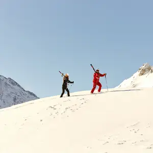 Skier in the Alps