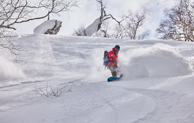 Bindings