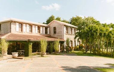 Tauchen auf Martinique