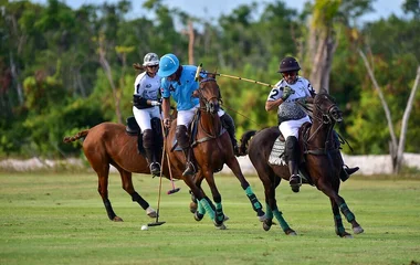 Reiten in Punta Cana mit Club Med