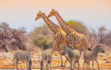 Namibie
