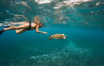 Snorkeling