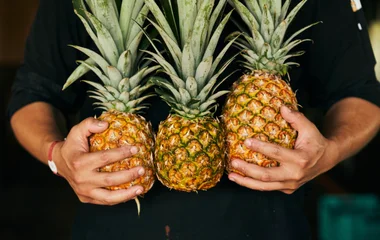 Savor Wellness with Every Bite