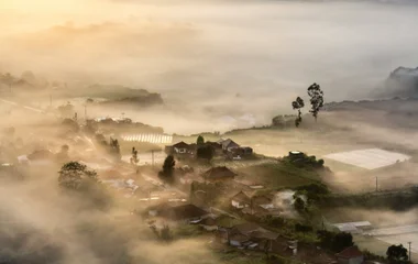a picture of village Kintamani near mount batur, seen from above