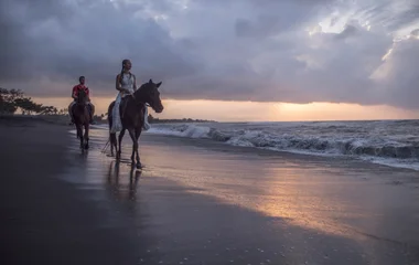 people riding horses on a beach