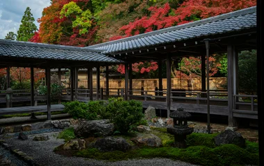 autumn red leaves in japan