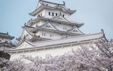 A japanese castle in the background, and some cherry blossom branches on the foreground