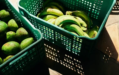 plastic recycle