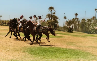 Reiten in der Natur – Familienreise Marokko aktiv gestalten