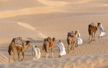Djerba Ferien mit Kindern – Kamelreiten am Strand