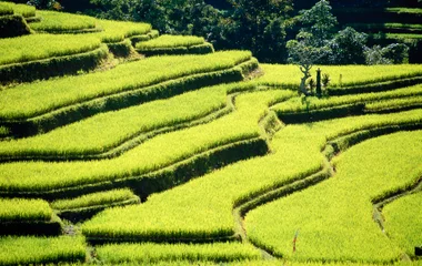 Exotische Natur hautnah erleben