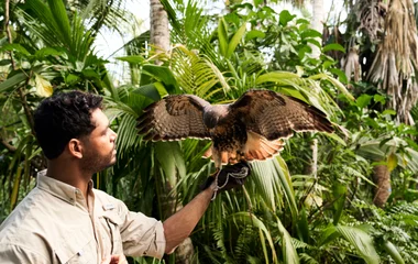 Ausflüge in den Nationalpark von Guadeloupe