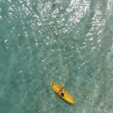 Kayak
