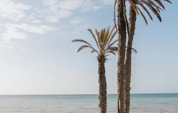 Plage Djerba La Douce en Tunisie