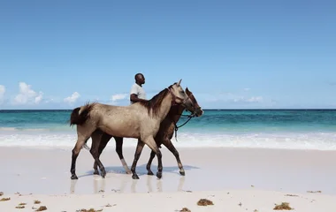 Homme à cheval au bord de l'eau