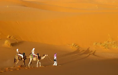 Camel riding