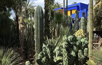Jardin Majorelle à Marrakech au Maroc