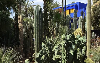 Jardin Majorelle au Maroc