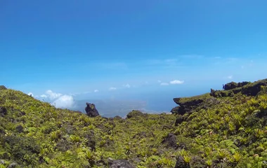 La Savane des Pétrifications en Guadeloupe