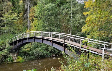 Parc National des Gorges de la Rivière Noire