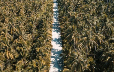 La Ciclopista de Ixtapa