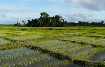 Oussouye en Casamance