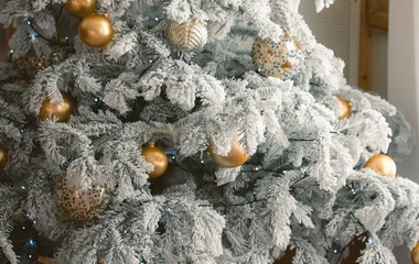 Noël - semaine du 21/12/25