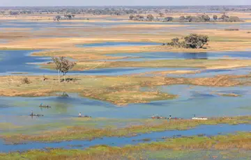 Delta de l’Okavango
