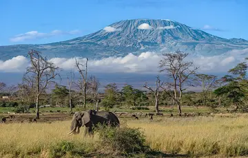 Parc national d'Amboseli
