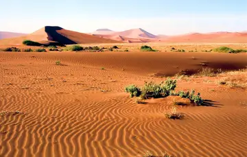 Parc national du Namib Naukluft