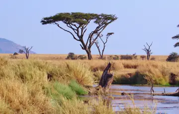 Parc National du Serengeti