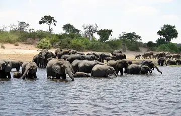 Parc national du Zambèze