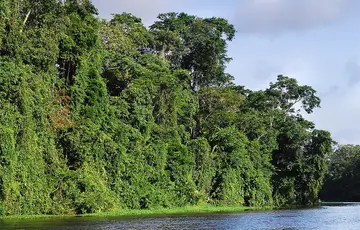 Parc National de Tortuguero