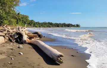 Parc National du Corcovado