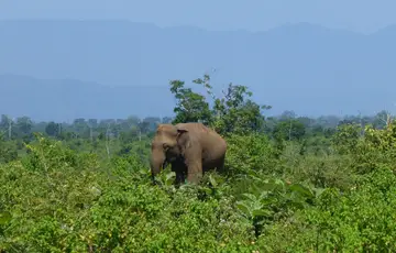 Parc national d’Udawalawe