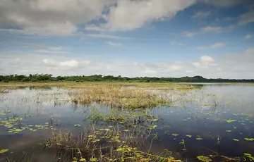 Sanctuaire Crooked Tree